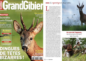 Press review