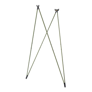 Green Essential