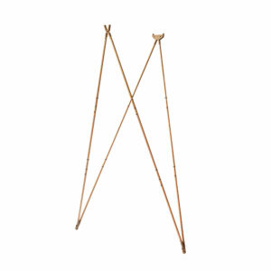 Ultimate Wood - Back